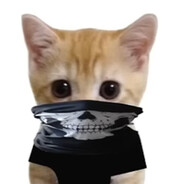 mne_ne_vazhno_suka avatar