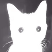 Hi! Ostrich avatar