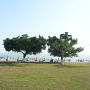 今人不见古时月,今月曾