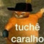 Pitoco17