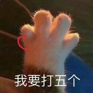 Ying了天胡狗×输了Ma卖批