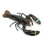 Lobsterdude657