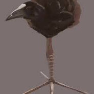 DjecakBezHlaca