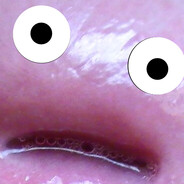 Meatus