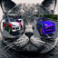 Avatar of Kitso