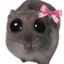 Hammy_96