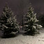 December avatar