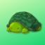 Turtle Zen