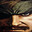 Magnoli's Avatar