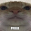 ☘︎PABLO☘