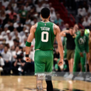 鲨鱼辣椒不吃辣椒