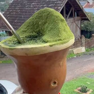 Topetudo Bagualesco