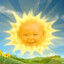 Sunflower kid