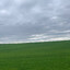 vladbslaaay