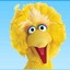 Big bird