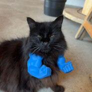 SinoDino - steam id 76561199087814817