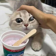 jerjalejin