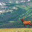 Rocky Mountains