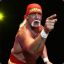 Hulkster