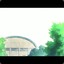 玻璃碎片