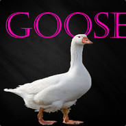 GOOSE