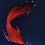 臭弟弟爱喝百事