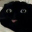 BLACKAT