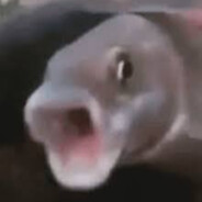 Mr.Fish - steam id 76561199748462314