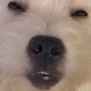 b0b
