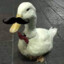 DuckBond