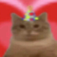 斐济杯导爽亲家公