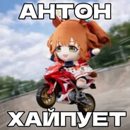 Soy
