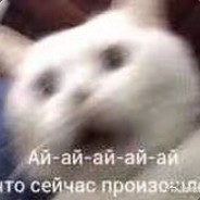 城之内（剑心犹在