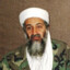 Osama Bin Chilling