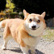 我是真ikun啊啊啊