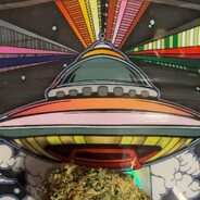 Ɑ͞ ̶͞ ̶͞ ̶͞ ﻝﮞ๋ - steam id 76561199432924538