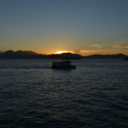 玩狼菜求佬别压力