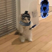 比奇堡悍匪章鱼哥