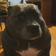 Крутой Окер