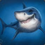 mastershark