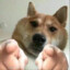 小逸么么哒