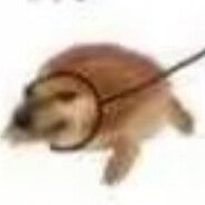 一切都是任务的主人