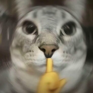 心不乱自然平静