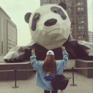 今天又偷看了几次