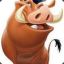 [Disneywarriors] PuMBaA