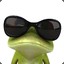 FroschnYo