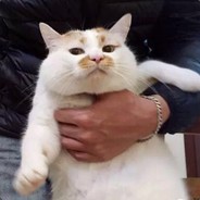 可以赢但没必要