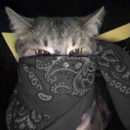 Meow Meow Niggaaaahh!