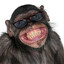Dr.m0nkey