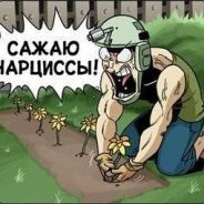 demacrit